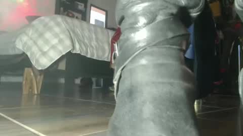 Snapshot of eskelaswd chatting on October 6, 7:44 pm Eskela911 online show from October 6, 7:44 pm