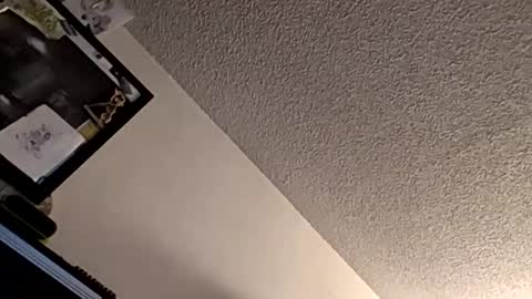 Snapshot of et528007 chatting on November 7, 5:07 am et528007 online show from November 7, 5:07 am