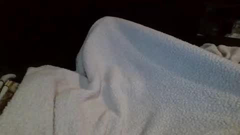 eu369033 online show from February 25, 8:07 pm