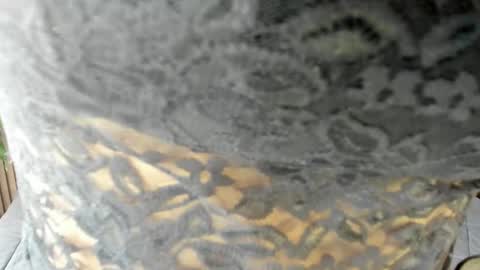 Eva online show from April 15, 2:24 pm