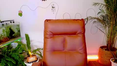 Im Eve or Chelle Next Stream 191224  online show from May 1, 11:42 pm