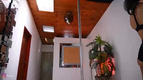 evelyn evelyn online show from February 18, 4:14 pm