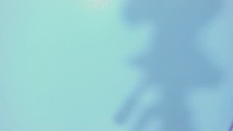    online show from March 4, 12:22 pm