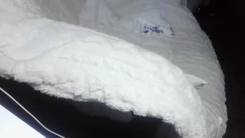 everlasthu online show from February 9, 1:44 am