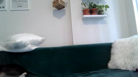 Snapshot of evillers1 chatting on September 22, 8:55 pm Badblondebunny online show from September 22, 8:55 pm