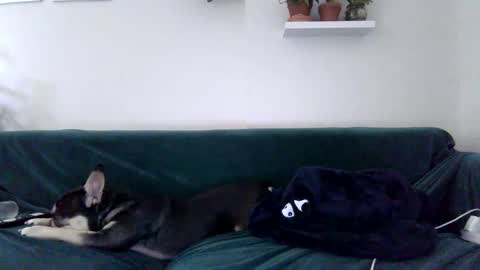 Snapshot of evillers1 chatting on October 27, 11:41 pm Badblondebunny online show from October 27, 11:41 pm