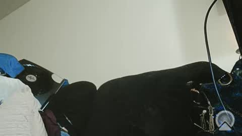 Exoticlexxii online show from February 14, 7:27 am