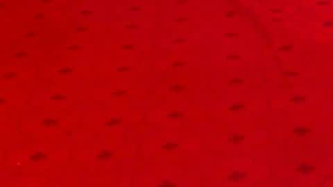 Snapshot of experiencedalana chatting on December 9, 12:12 am Alana online show from December 9, 12:12 am