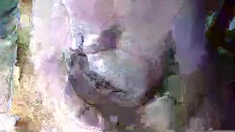 expogent online show from April 10, 7:24 am