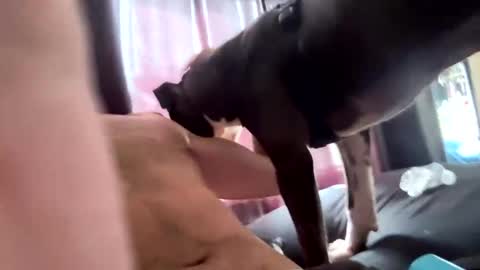 MichazaXO online show from October 10, 4:28 pm