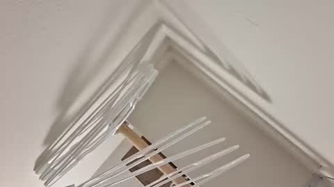 eyyoboobo0 online show from April 17, 11:08 pm