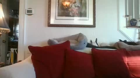 fairmount31 online show from January 7, 1:46 pm