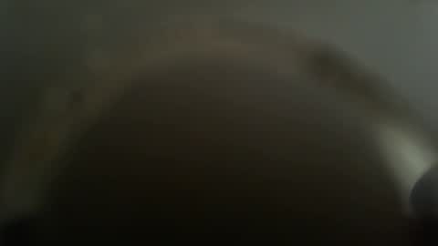 Snapshot of falushp chatting on February 26, 11:52 am falushp online show from February 26, 11:52 am