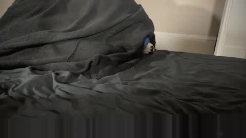 Fango online show from January 12, 2:39 am