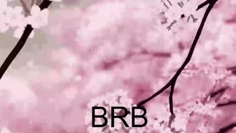 Anna Scovich online show from October 10, 1:43 pm