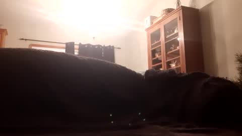 Snapshot of farm2boy chatting on January 11, 2:09 am Farm2boy online show from January 11, 2:09 am