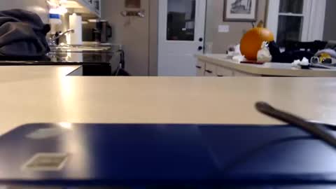 Snapshot of farmgirl__ chatting on October 11, 2:22 am FarmGirl and Daddy online show from October 11, 2:22 am