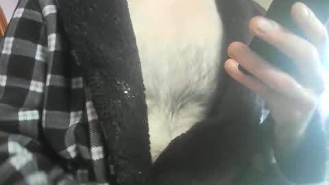 feardubh online show from February 20, 11:43 am