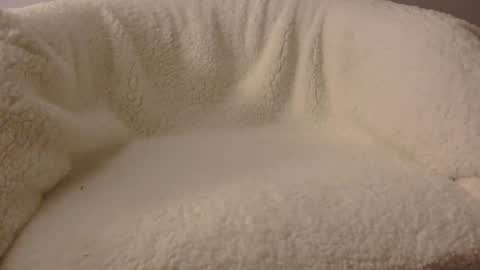 feels_too_good online show from April 9, 2:11 am