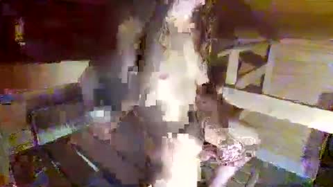 feet__sucker online show from September 22, 8:22 pm