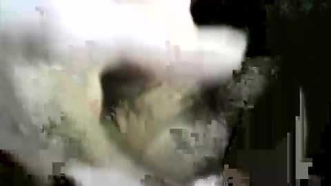 felicaste online show from December 2, 8:59 pm