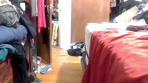 felicitybliss29 online show from October 16, 4:57 am