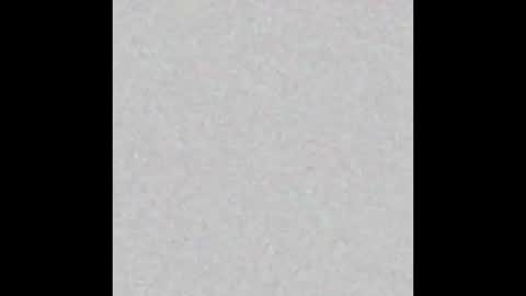 Snapshot of femboy_fangs chatting on December 1, 4:50 am femboyfangs online show from December 1, 4:50 am