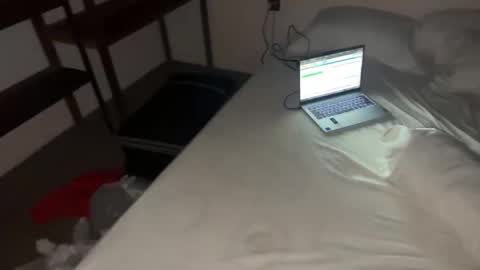 Snapshot of femboydanii chatting on November 12, 8:30 pm Dani online show from November 12, 8:30 pm