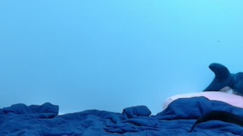 Snapshot of feralasf chatting on February 28, 2:09 am FE fee online show from February 28, 2:09 am