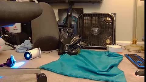 Snapshot of feralasf chatting on October 6, 6:00 am FE fee online show from October 6, 6:00 am