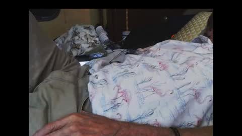 ferra_testarossa online show from September 17, 2:13 am