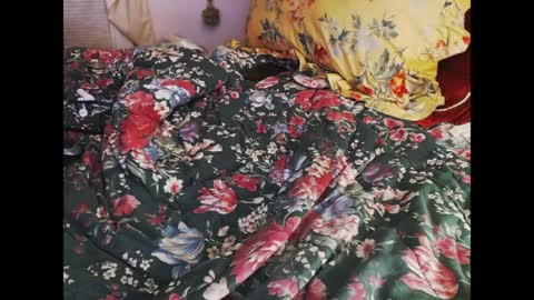 ferra_testarossa online show from April 9, 2:33 am