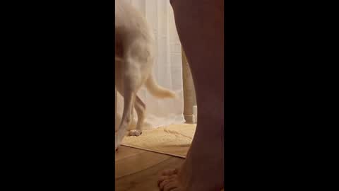 fetishdad863 online show from April 17, 1:58 pm