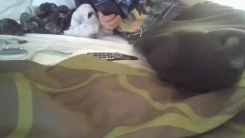 Snapshot of fetishfriendly6969 chatting on December 4, 3:43 pm fetishfriendly6969 online show from December 4, 3:43 pm