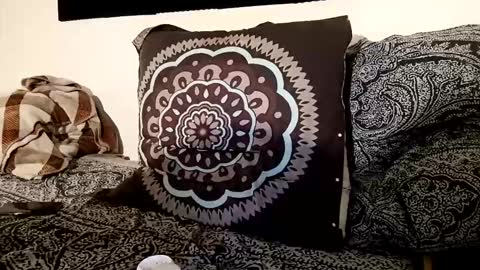 fezzyqt online show from October 19, 9:26 pm