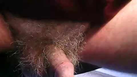 Snapshot of fh1963 chatting on February 20, 12:16 pm fh1963 online show from February 20, 12:16 pm