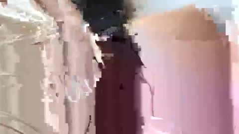 fifipan online show from October 25, 9:28 am