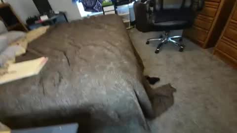 Snapshot of filfaonyx chatting on November 4, 5:12 pm filfaonyx online show from November 4, 5:12 pm