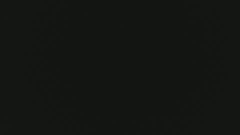 F I O R E L L A  online show from April 19, 2:16 pm