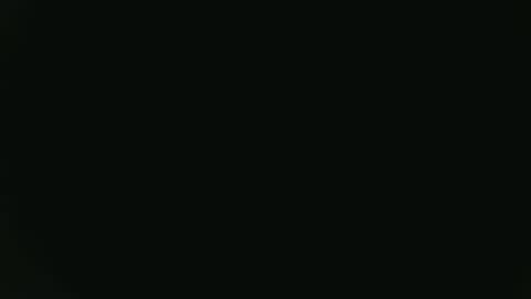 Fish online show from January 16, 10:02 pm