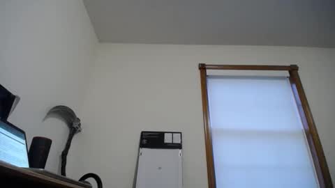 Snapshot of fitshow75 chatting on November 21, 12:48 pm Links in Bio below online show from November 21, 12:48 pm