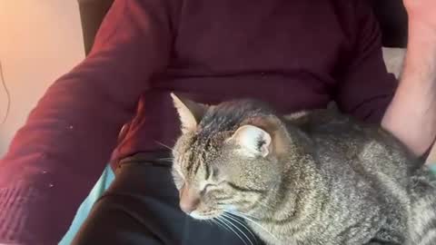 firesoul online show from March 4, 2:01 pm