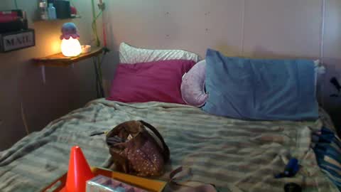 Eisha online show from December 22, 9:09 pm