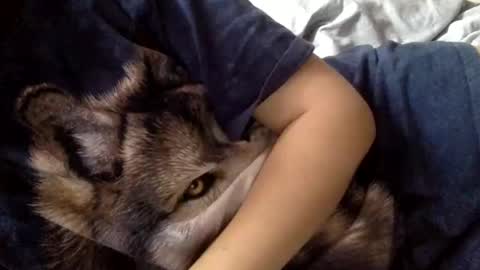 Snapshot of floraexploration chatting on December 22, 11:22 am floraexploration online show from December 22, 11:22 am