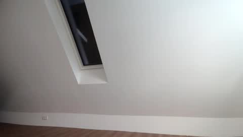 Snapshot of flowster221 chatting on December 20, 1:18 pm flowster221 online show from December 20, 1:18 pm