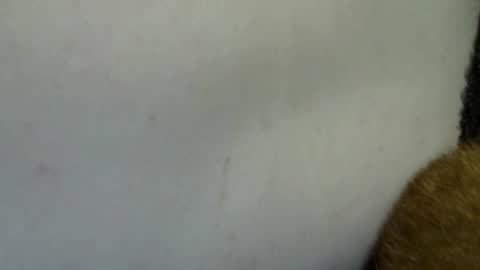 flufferbutt2 online show from April 4, 10:24 am