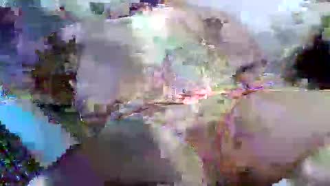 flufferbutt2 online show from April 14, 5:13 am