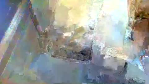 Snapshot of forest133 chatting on January 5, 1:36 pm forest133 online show from January 5, 1:36 pm