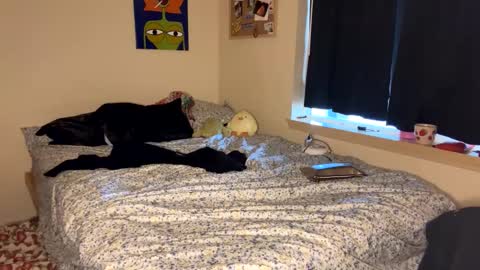 beautiful blair online show from January 9, 7:18 pm