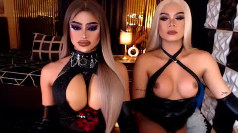 Stella Perkins online show from April 12, 9:14 am